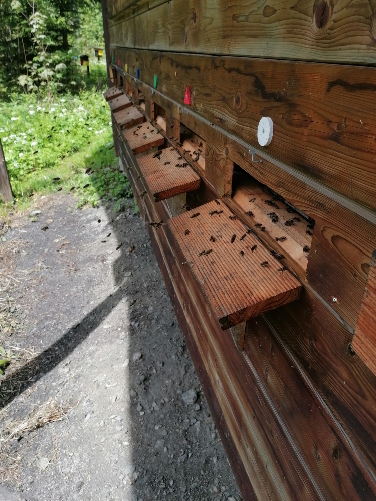 Belegstell S2 Huette