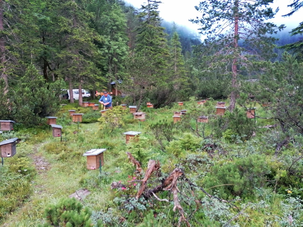 Hinterautal 2 kl